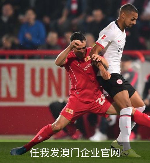 了解任我发澳门企业官网